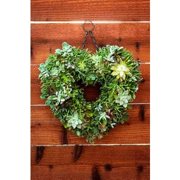 SuperMoss 11" Heart Living Wreath - No Soil Needed
