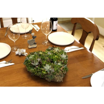 SuperMoss 11" Heart Living Wreath - No Soil Needed