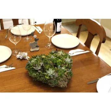 SuperMoss 11" Heart Living Wreath - No Soil Needed