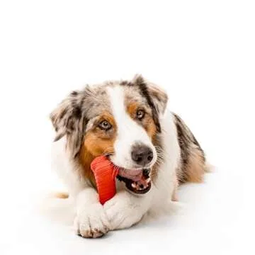 Playology Dual Layer Bone for Tough Chewers Jumbo Size