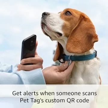 Ring Lost Pet Tag with QR Code and Real-time Alerts