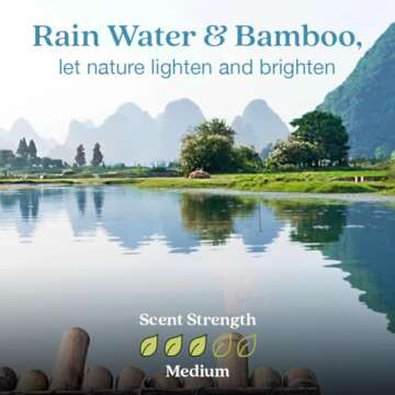 Enviroscent Non-Toxic Air Freshener for Home (Rainwater & Bamboo) Essential Oil Diffuser | Air Freshener + Room Freshener Home Fragrance Last Over 30 Days, 1 Mango Wood Stand & 1 Scent Stix Refill Kit