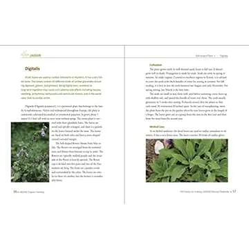 Learn to Make Natural Pesticides with 100 Herbs