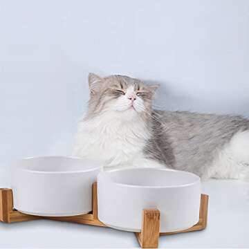 Petygooing Dog Bowls,White Ceramic Cat Dog Bowl Set with Wood Stand for Food and Water Feeder, Modern Pet Dish Set for Cats and Small Size Dogs Puppy (13.5OZ/5.1 in)
