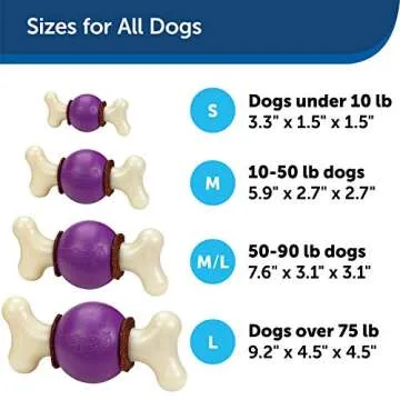 PetSafe® Busy Buddy® Bouncy Bone™, Treat Holding Dog Toy, Medium, Best for Dogs 10-50 Lb.