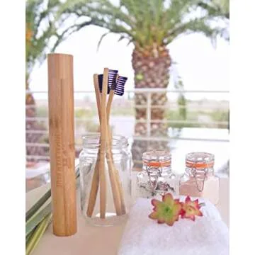 Himalayan Blue Natural Antimicrobial Bamboo Charcoal Travel Set - Biodegradable Holder Case - Organic Natural Teeth Whitening Soft but Firm Bristles for Sensitive Gum Health