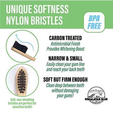 Himalayan Blue Natural Antimicrobial Bamboo Charcoal Travel Set - Biodegradable Holder Case - Organic Natural Teeth Whitening Soft but Firm Bristles for Sensitive Gum Health