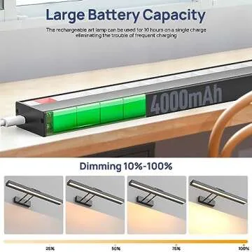 PESUTEN Wireless LED Picture Light for Art Display