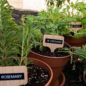 Brother P-touch Pro PTH111 Durable Portable Label Maker