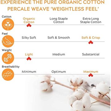 Sleep Mantra Organic Cotton Queen Bed Sheet Set - Eco-Friendly Comfort