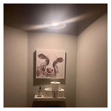 KEFA Battery Operated Light Bulbs with Remote Control