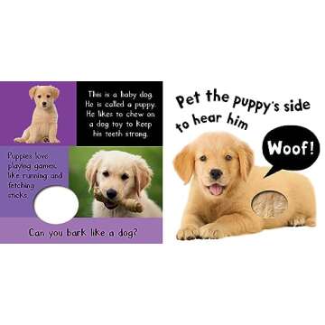 Noisy Baby Animals: Includes Six Sounds! (My First)