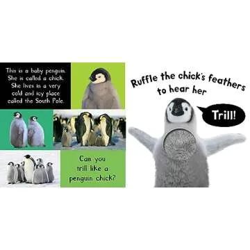 Noisy Baby Animals: Includes Six Sounds! (My First)