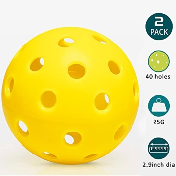 Zdgao Pickleball Set - Portable Outdoor Fun for All
