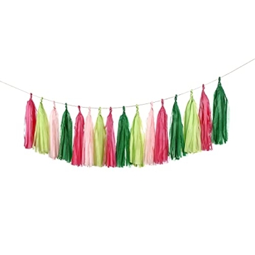 GUZON 20 Pack Watermelon Party Tassel Garland Kit - DIY Summer Party Decorations