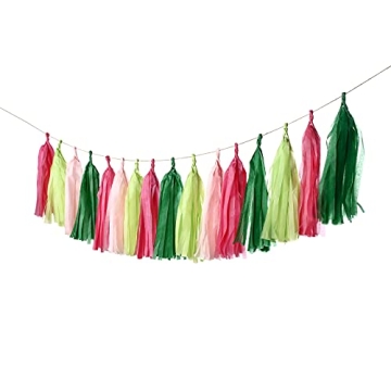 Guzon 20 Watermelon Party Tassel Garland DIY Kit