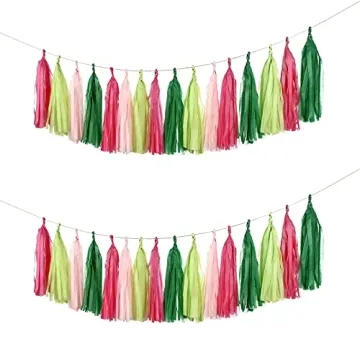 Guzon 20 Watermelon Party Tassel Garland DIY Kit