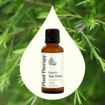 Plant Therapy Organic Tea Tree Oil (Melaleuca) 100% Pure, USDA Certified Organic, Undiluted, Natural Aromatherapy, Therapeutic Grade 30 mL (1 oz)