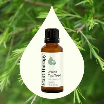 Plant Therapy Organic Tea Tree Oil (Melaleuca) 100% Pure, USDA Certified Organic, Undiluted, Natural Aromatherapy, Therapeutic Grade 30 mL (1 oz)