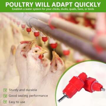 KISEER Automatic Waterer for Poultry 30 Pack Screw Style
