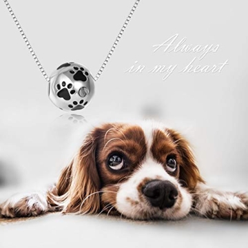 ONEFINITY Paw Urn Necklace | Pet Ashes Keepsake Jewelry
