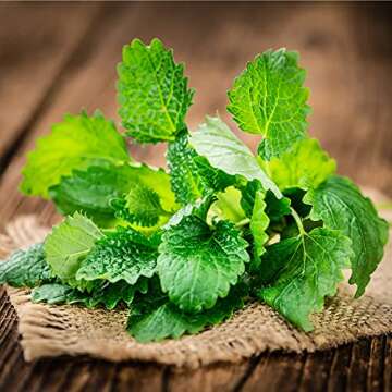 Frontier Co-op Organic Cut & Sifted Lemon Balm Leaf 1lb - Dried Lemon Balm Herb Lemon Balm Loose Leaf Tea Herb - Melissa Tea, Toronjil Tea