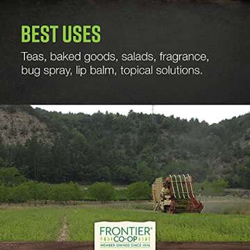 Frontier Co-op Organic Cut & Sifted Lemon Balm Leaf 1lb - Dried Lemon Balm Herb Lemon Balm Loose Leaf Tea Herb - Melissa Tea, Toronjil Tea