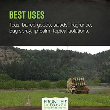 Frontier Co-op Organic Cut & Sifted Lemon Balm Leaf 1lb - Dried Lemon Balm Herb Lemon Balm Loose Leaf Tea Herb - Melissa Tea, Toronjil Tea