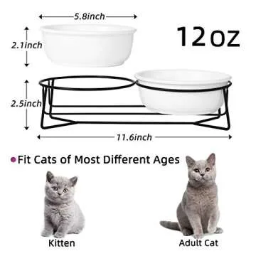 Double Ceramic Raised Cat or Small Dog Bowls with Metal Stand for Pet Food and Water Dishes,12 Ounces