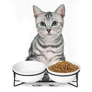 Double Ceramic Raised Cat or Small Dog Bowls with Metal Stand for Pet Food and Water Dishes,12 Ounces