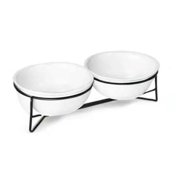 Double Ceramic Raised Cat or Small Dog Bowls with Metal Stand for Pet Food and Water Dishes,12 Ounces