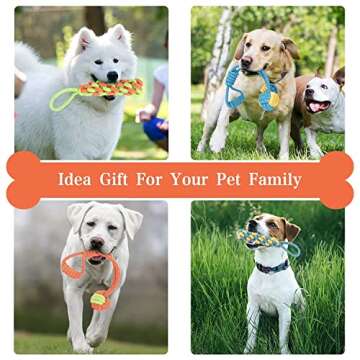 BABYLTRL Dog Outdoor Bungee Hanging Toy, Durable Tugger Dog Chew Toys with Rope Toys for Boredom, Interactive Tether Tug of War Toys to Exercise & Solo Play for Pitbull Puppy Small Medium Large Dogs