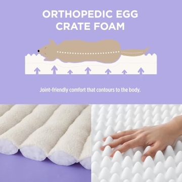 Lesure Orthopedic Dog Bed Sofa for Large Dogs, Waterproof Dog Couch with Removable Washable Cover, Cute Aesthetic Pet Sofa Couch with Egg Crate Foam (Cream, 35.0" L x 25.0" W x 10.5" Th)