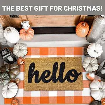 IOHOUZE Cotton Buffalo Plaid Check Rug Outdoor Doormat 27.5 x 43 Inches Washable Woven Outdoor Indoo...