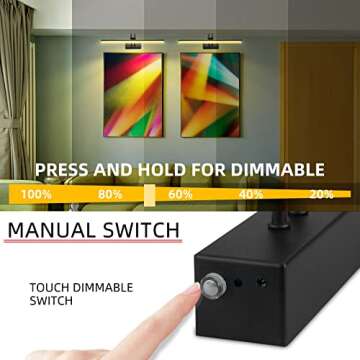 RAIFOOLLY Picture Light,20in Battery Operated Art Lights for Paintings,Remote Display Accent Light with Timer and Dimmable for Wall,Frame,Portrait,Dartboard-Black