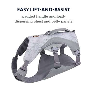 Ruffwear, Swamp Cooler Dog Harness, Lightweight with Evaporative Cooling for Hot Weather, Graphite Gray, Medium