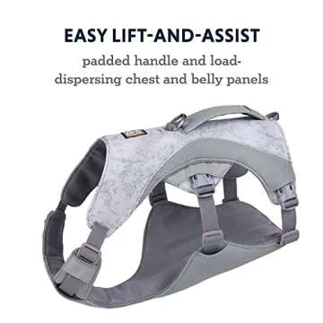 Ruffwear, Swamp Cooler Dog Harness, Lightweight with Evaporative Cooling for Hot Weather, Graphite Gray, Medium