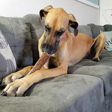 Elkhorn Premium Chews for Large Dogs - 100% Natural Antlers