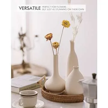 Beige White Ceramic Rustic Vase Set - 4 for Flowers Pampas Grass, Bookshelf Decor, Dining Table, Modern Farmhouse Decor