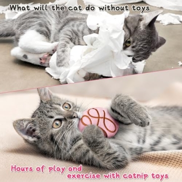 MALLMALL6 Catnip Toys - Interactive Plush for Cats
