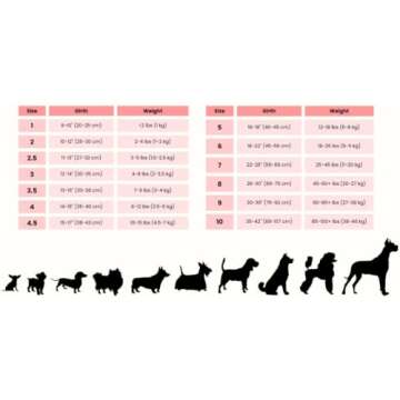 BUDDY BELT All Pebble Grain Leather Leash Blue - Premium Edition (1/2" x 4')