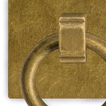 Stylish Hardware Philosophy Ring Plate Pulls - Set of 2