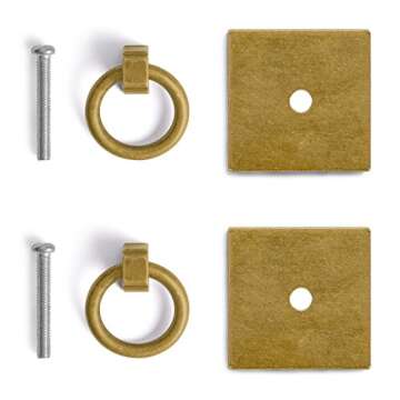 Stylish Hardware Philosophy Ring Plate Pulls - Set of 2
