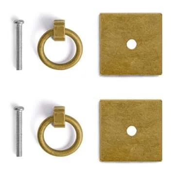 Stylish Hardware Philosophy Ring Plate Pulls - Set of 2