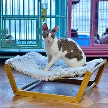 Comfortable Cat Hammock Bed with Double-Layer Cushion