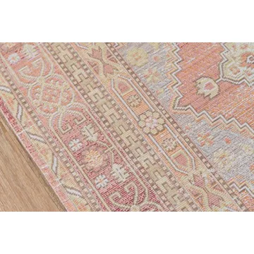 Momeni Isabella Rug Modern Vintage Design in Pink