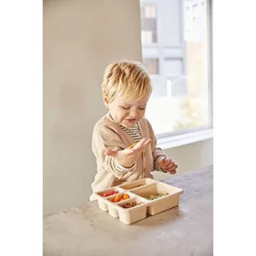 Austin Baby Silicone Bento Box – Leakproof Kids Lunch Container