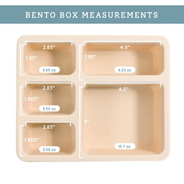 Austin Baby Silicone Bento Box – Leakproof Kids Lunch Container