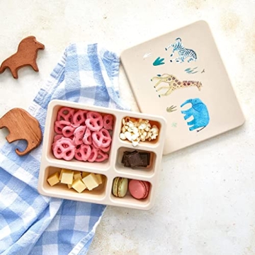 Austin Baby Silicone Bento Box – Leakproof Kids Lunch Container