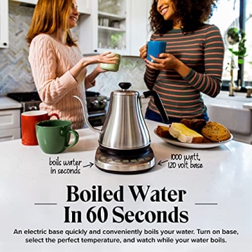 Gooseneck Electric Kettle with Temp Control - 1L Stainless Steel